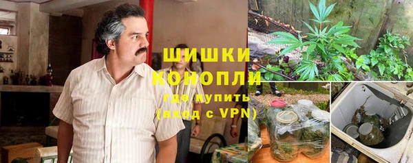 ECSTASY Чекалин