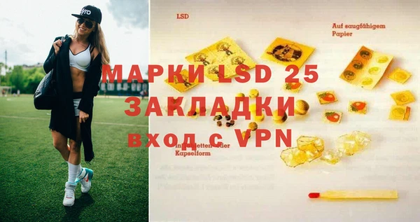 ECSTASY Чекалин